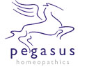 Canvas Logo